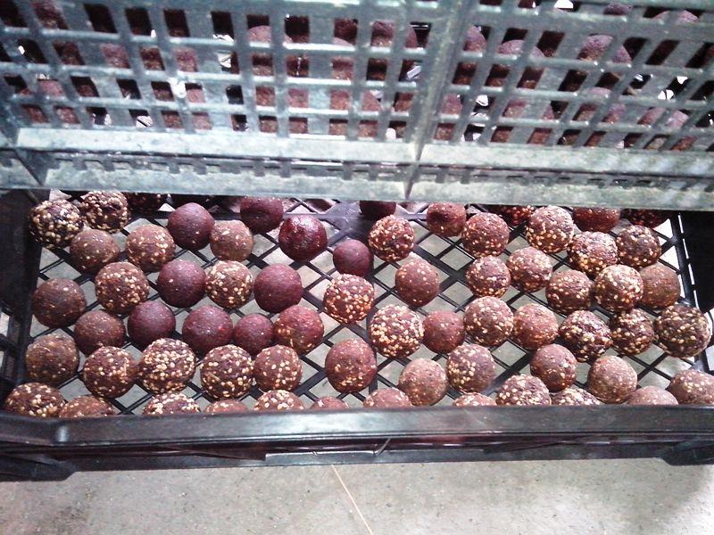 pregatiri pentru sezonul 2014  - img20140405140527.jpg